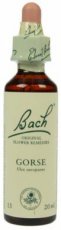 Bach Bloesem 13 Gorse ( gaspeldoorn ) 10 ml