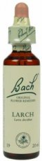 Bach Bloesem 19 Larch ( Lariks ) 10 ml