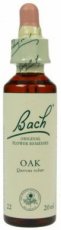 Bach Bloesem 22 Oak ( Zomereik ) 10 ml