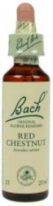 Bach Bloesem 25 Red Chestnut ( Rode paardenkastanje ) 10 ml