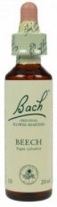 Bach Bloesem 3 Beech ( Beuk ) 10 ml