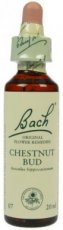 Bach Bloesem 7 Chestnut Bud ( Paardekastanjeknop)  10 ml