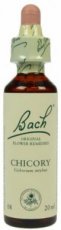 Bach Bloesem 8 Chicory ( Wilde Chicorei ) 10 ml